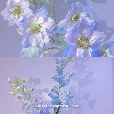 澳门最准最快资料网站下载