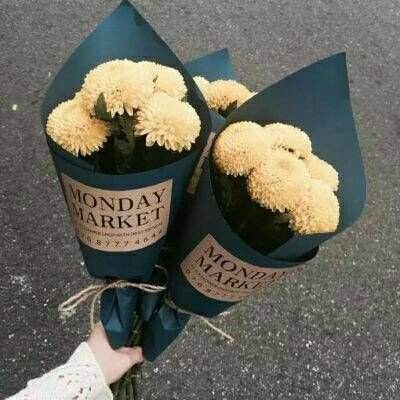 Bsport体育最新版