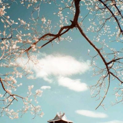 金年会·体育APP