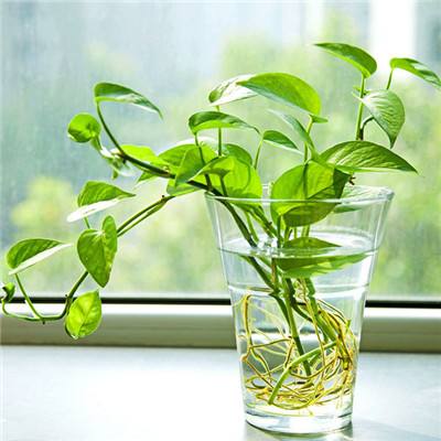 B体育登录APP下载